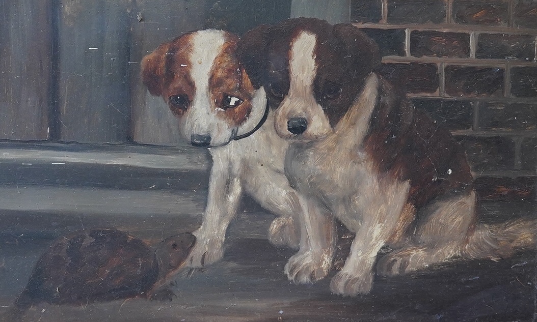 A. Astley, early 20th century, naive oil on board, Study of two dogs and a tortoise, signed, 28 x 47cm. Condition - poor